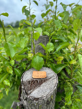 Childs Handwritten Patch Hat